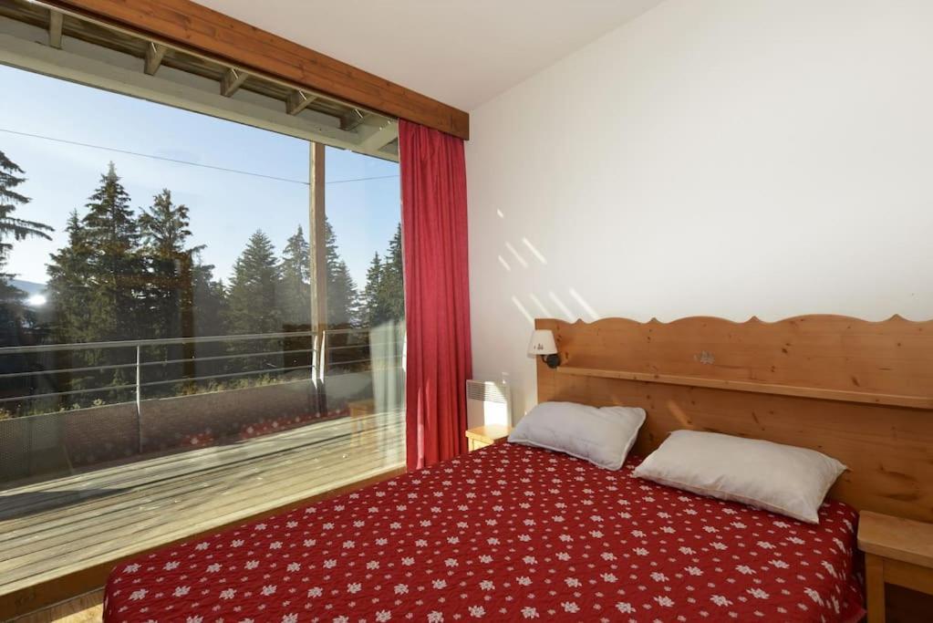 Apartment 35m2 *